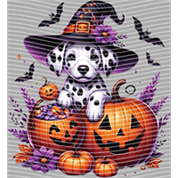 Halloween-WS 5790